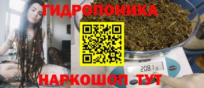 индика Нягань