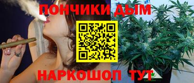 индика Нягань