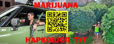 индика Нягань